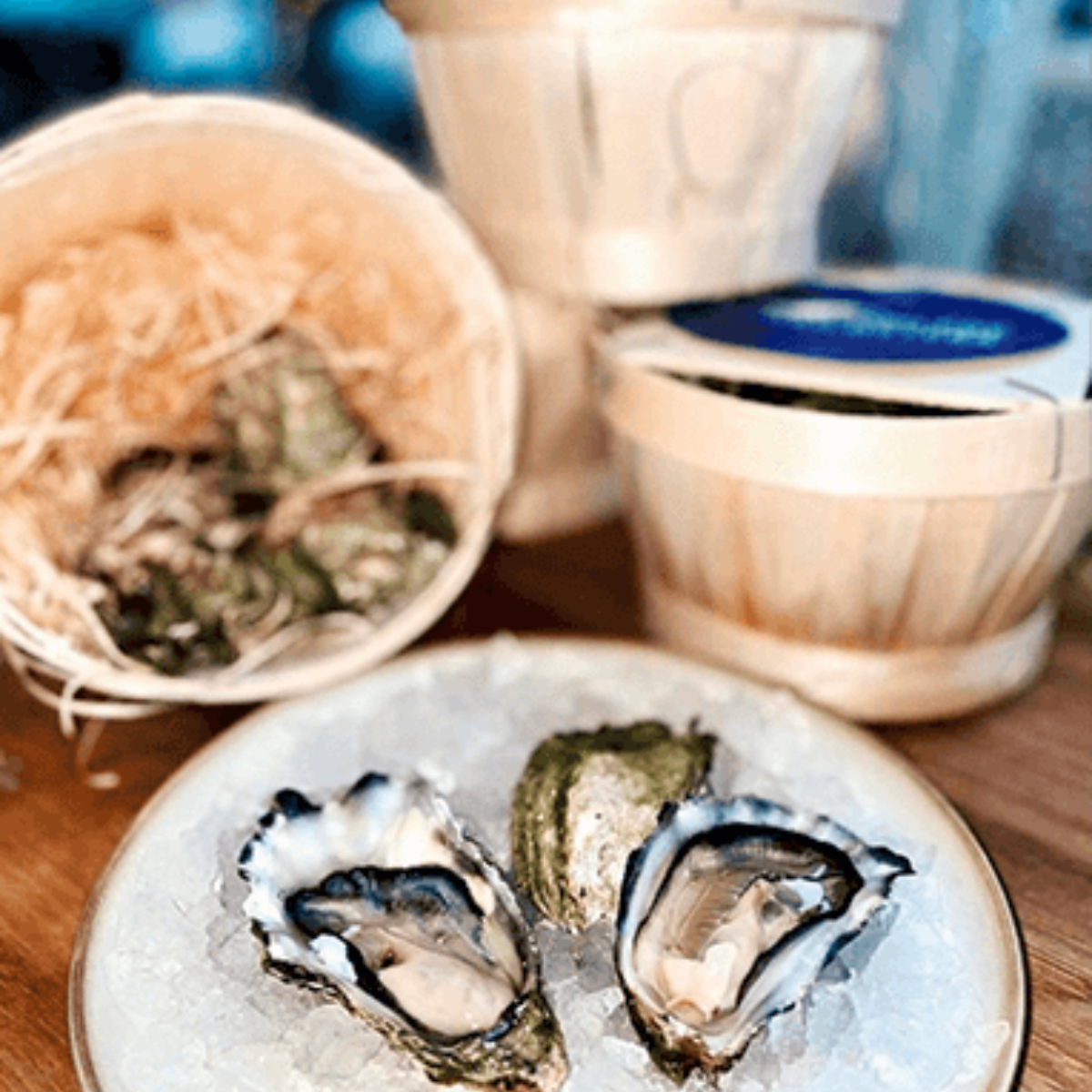 Stillehavsøsters