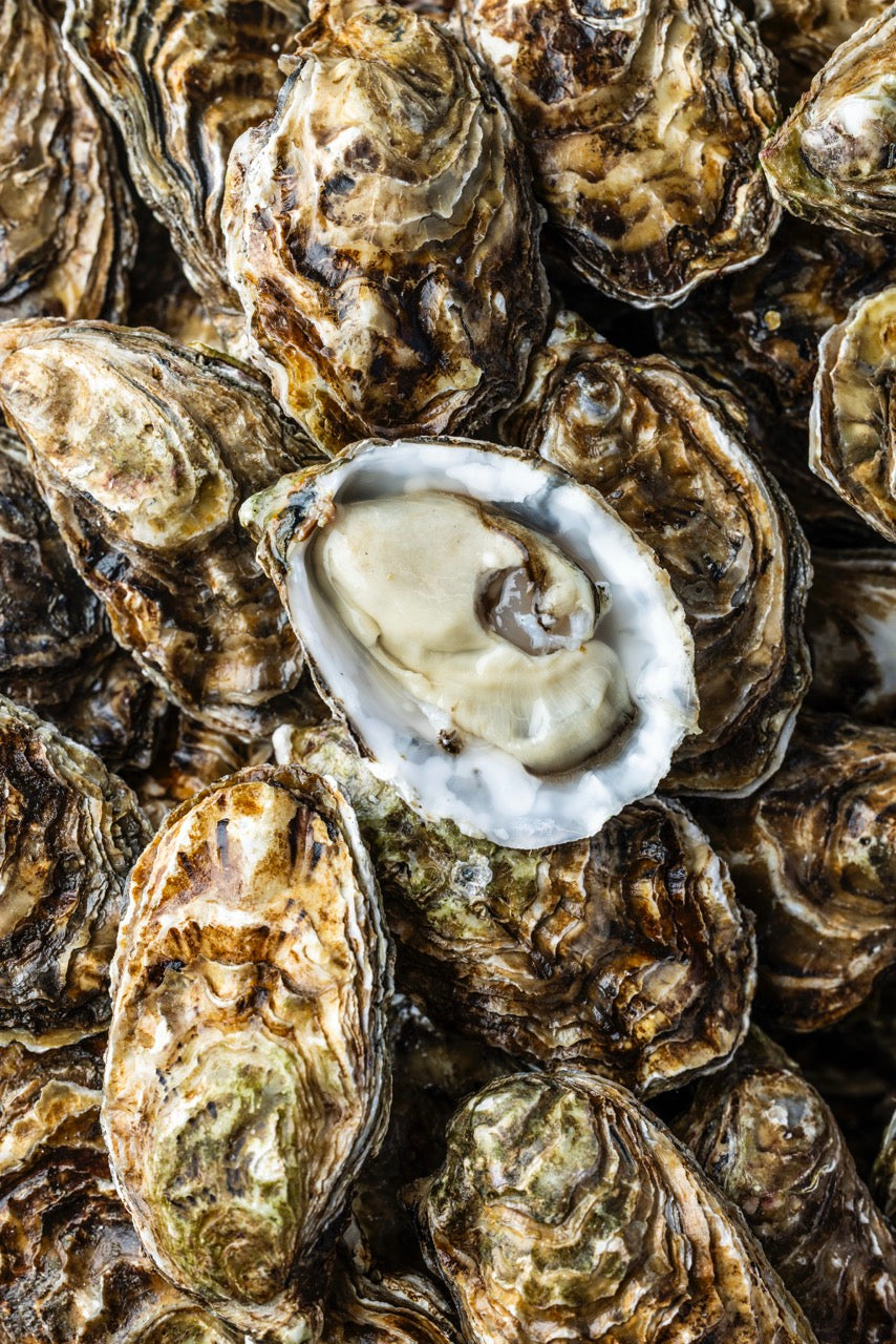 Rømø Østers fra Limfjorden – Venø Seafood