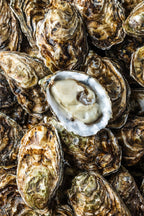 Rømø Østers fra Limfjorden – Venø Seafood