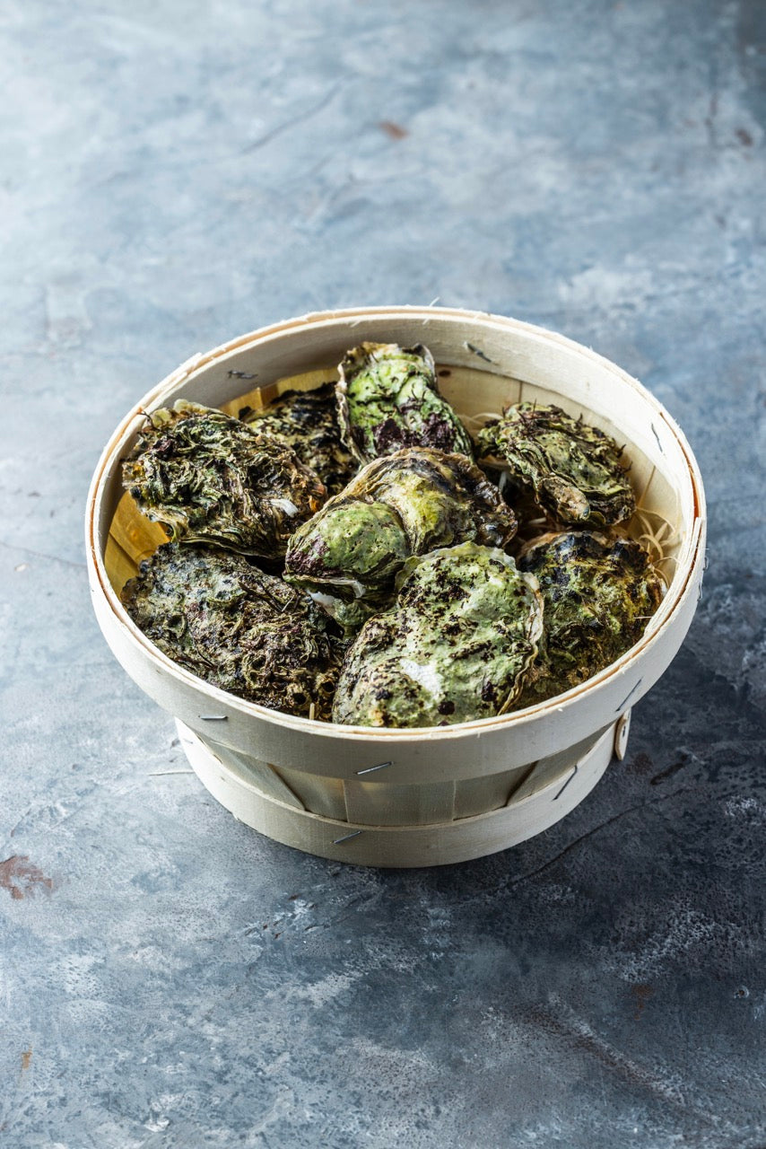 Stillehavsøsters fra Limfjorden