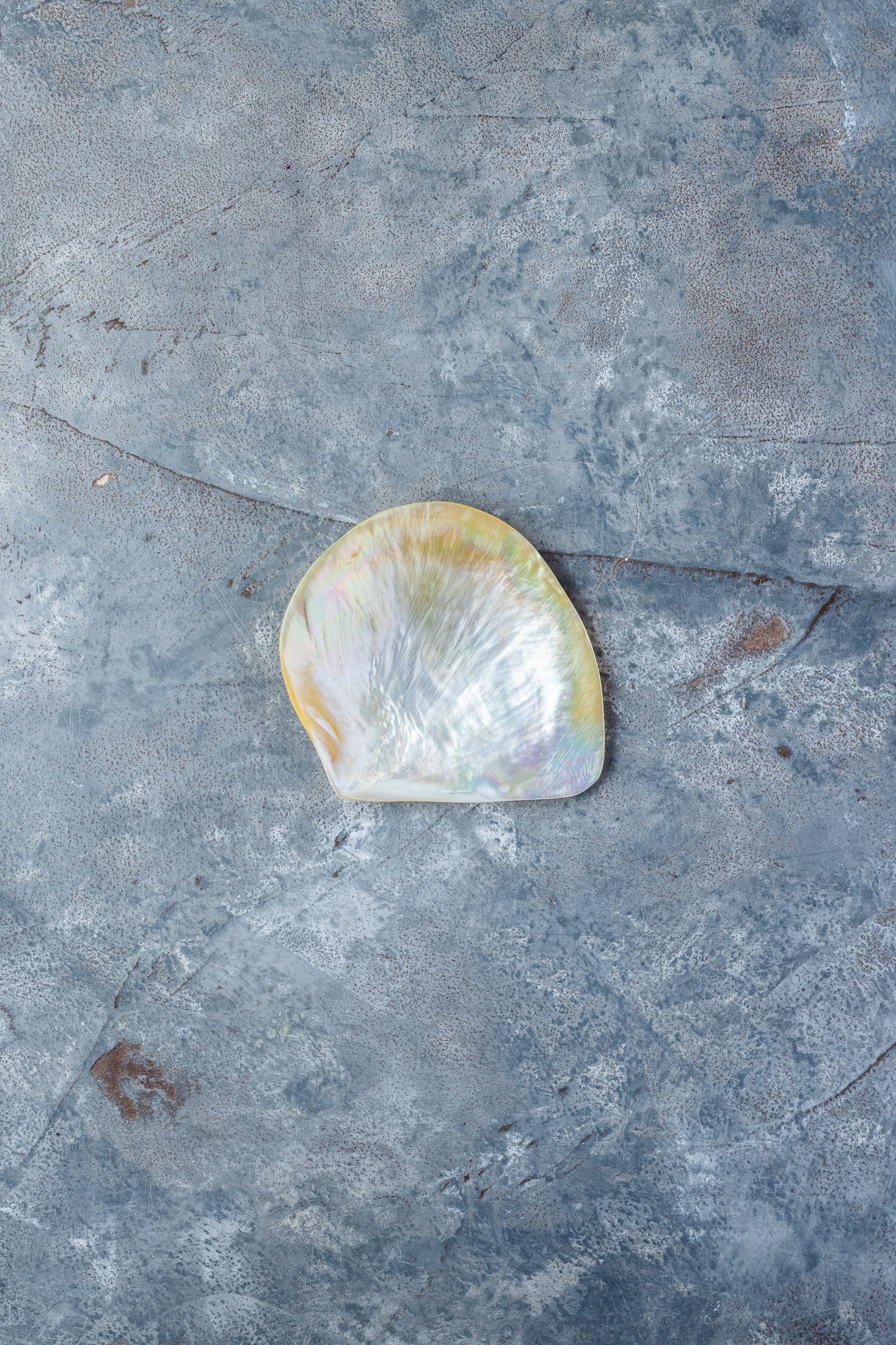 Lille perlemorsskål