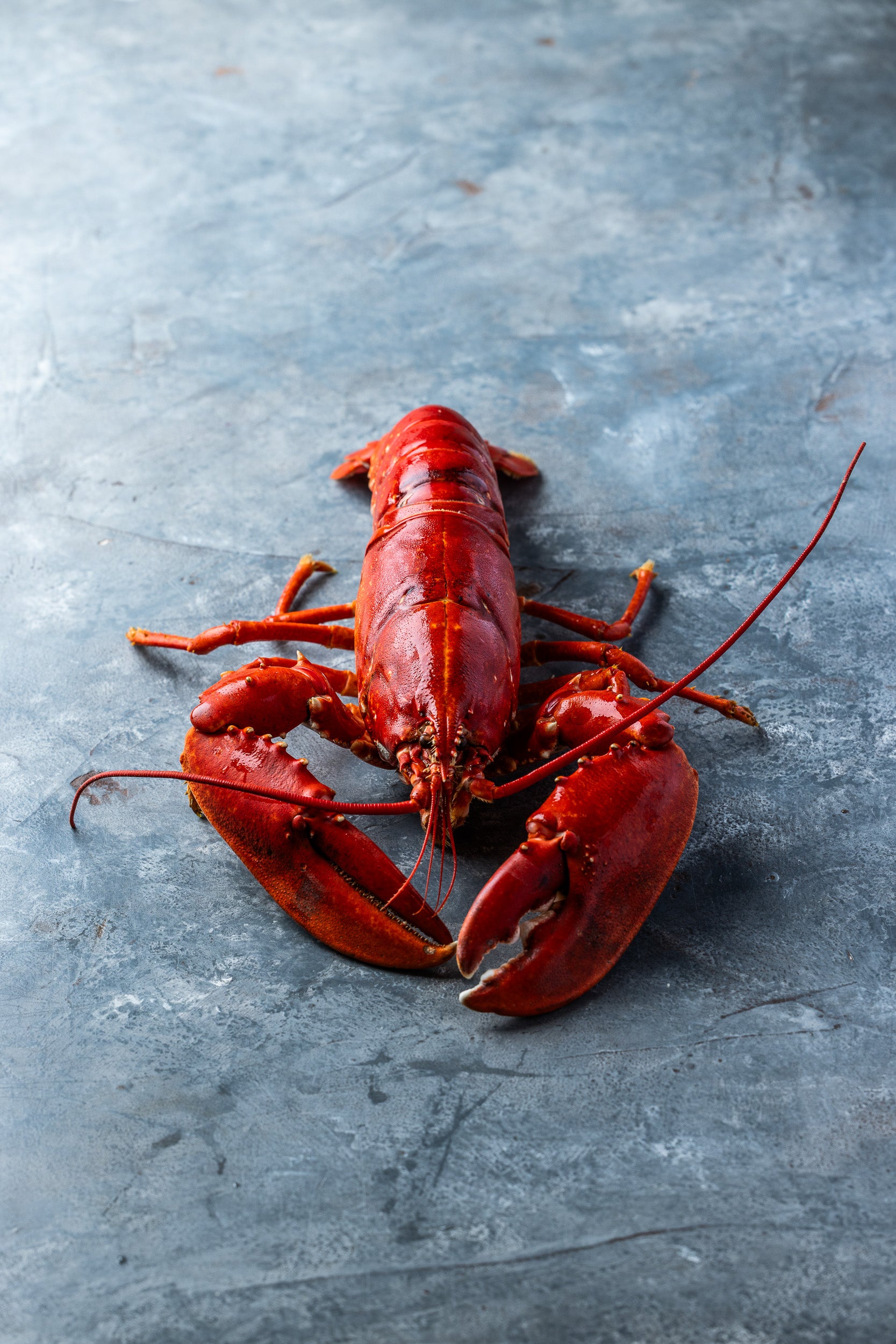 Kogt Limfjordshummer | KUN til nytårslevering d. 30 dec. 2025