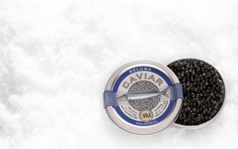 Beluga caviar, Køb Caviar, Køb beluga